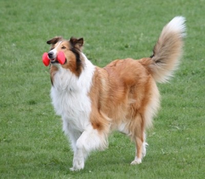 2011-04-16 Grace.JPG