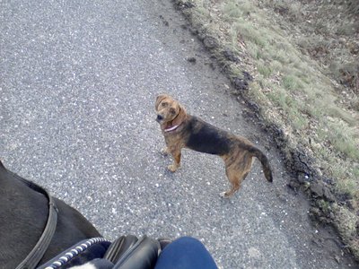 P291212_1453.jpg (204.44 KiB) 10588-mal betrachtet P291212_1453.jpg