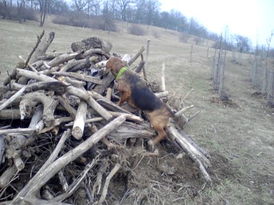 P040413_0759.jpg (153.66 KiB) 10716-mal betrachtet P040413_0759.jpg