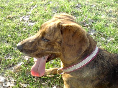 P160413_0757.jpg (249.81 KiB) 10714-mal betrachtet P160413_0757.jpg