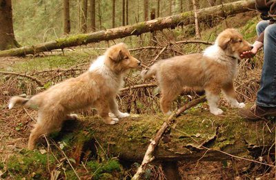 2013_04_21_Pilot_DSC_9826.jpg (106.37 KiB) 10569-mal betrachtet 2013_04_21_Pilot_DSC_9826.jpg