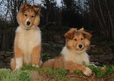 DSC_0155.jpg (267.93 KiB) 8875-mal betrachtet DSC_0155.jpg