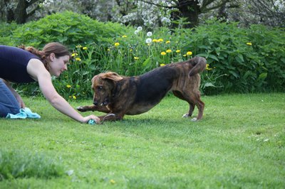 spiel02_.jpg (136.16 KiB) 10648-mal betrachtet spiel02_.jpg