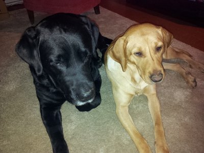 20130305_200103.jpg
