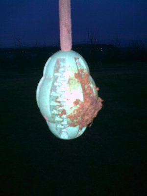 Bild0147.jpg