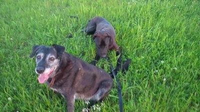 IMG_20140608_204420_edit.jpg (209.58 KiB) 64870-mal betrachtet IMG_20140608_204420_edit.jpg