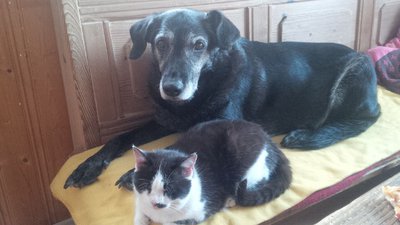 IMG_20140619_182033_edit.jpg (130.61 KiB) 65813-mal betrachtet IMG_20140619_182033_edit.jpg