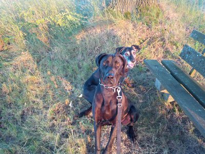 IMG_20140702_203603.jpg (376.78 KiB) 4588-mal betrachtet IMG_20140702_203603.jpg