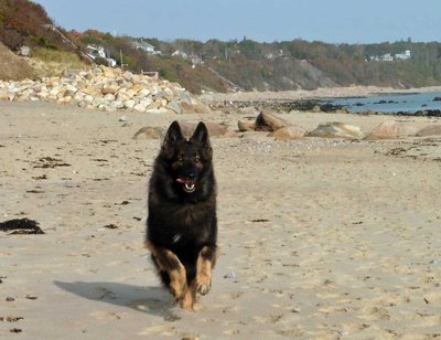 10.30.14PlymouthTessa2.jpg (81.16 KiB) 11809-mal betrachtet 10.30.14PlymouthTessa2.jpg