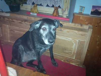 corlie1701.jpg