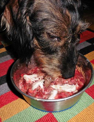 Yummy !.jpg (68.34 KiB) 7038-mal betrachtet Yummy !.jpg