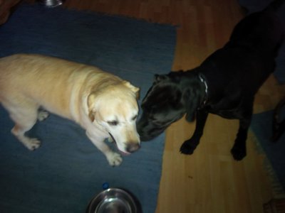 billkev1.jpg (79.81 KiB) 59180-mal betrachtet billkev1.jpg