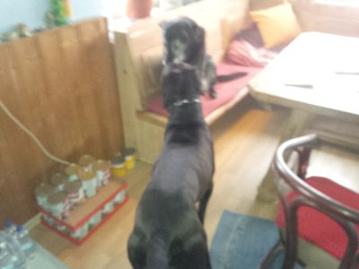 verschwommenkev.jpg (126.5 KiB) 59274-mal betrachtet verschwommenkev.jpg