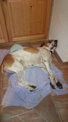 aa 10706389_904677432895753_487537387_n.jpg (65.54 KiB) 7199-mal betrachtet aa 10706389_904677432895753_487537387_n.jpg