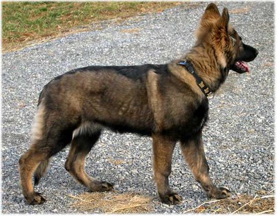 01.08.06WVa2.jpg (61.89 KiB) 7095-mal betrachtet 01.08.06WVa2.jpg