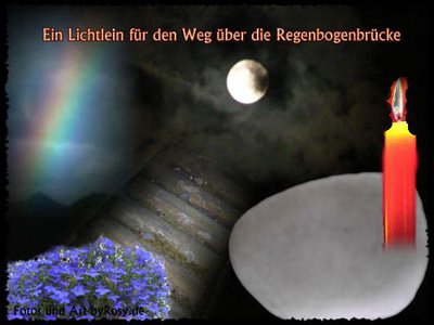 Regenbogentreppe500blanko.jpg
