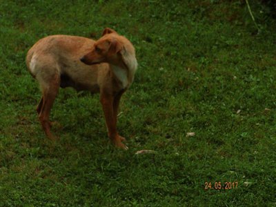 received_1831561543728094.jpeg (124.33 KiB) 35096-mal betrachtet received_1831561543728094.jpeg