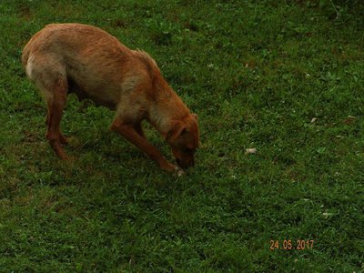received_1831561167061465.jpeg (206.63 KiB) 35797-mal betrachtet received_1831561167061465.jpeg