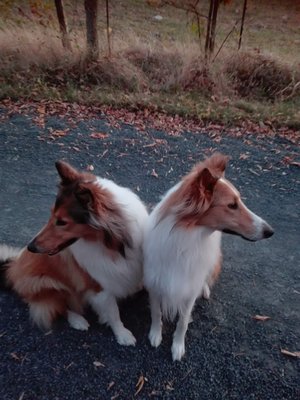 IMG_20181005_185158.jpg (912.82 KiB) 13009-mal betrachtet IMG_20181005_185158.jpg