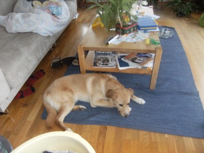 Thea 003.jpg (993.7 KiB) 4147-mal betrachtet Thea 003.jpg