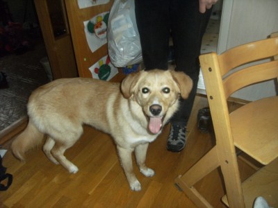 Thea 005.jpg (999.72 KiB) 4158-mal betrachtet Thea 005.jpg