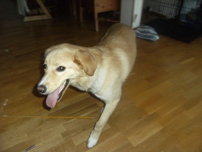 Thea 002.jpg (224.04 KiB) 4151-mal betrachtet Thea 002.jpg