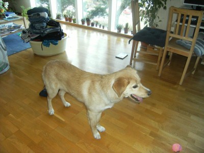 Thea 007.jpg (264.67 KiB) 4155-mal betrachtet Thea 007.jpg