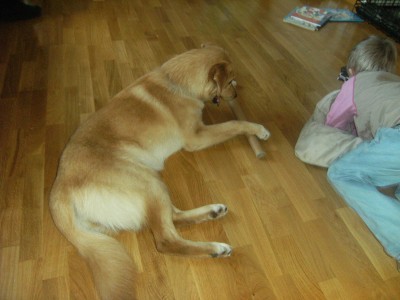 Thea 008.jpg (278.36 KiB) 4152-mal betrachtet Thea 008.jpg