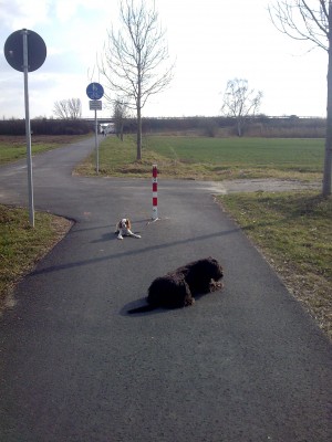 7Bild008.jpg