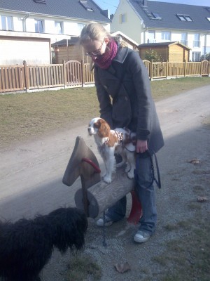 7Bild006.jpg