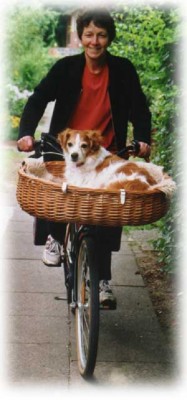 fahrradkorb.JPG