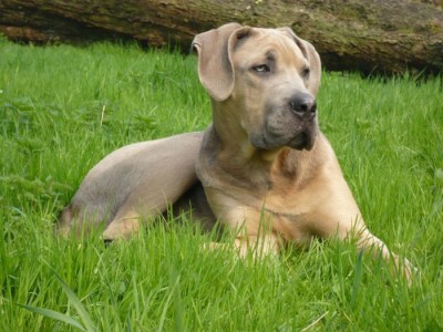 14. April ´09 007.JPG