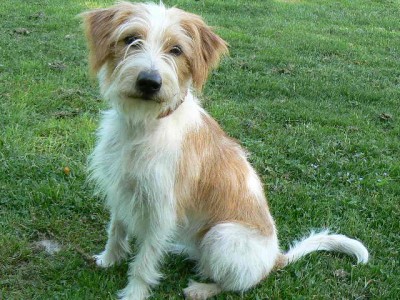 P1070120.JPG (87.03 KiB) 4272-mal betrachtet P1070120.JPG