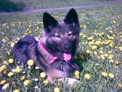 Bild006.jpg