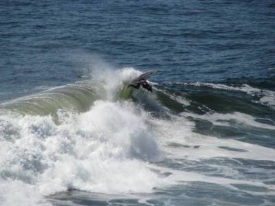 Surfer.jpg