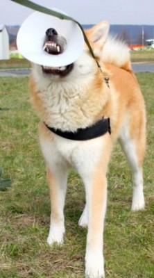 aaSaturn (573).jpg