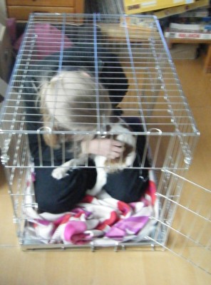 29 0904290054kl.JPG (1004.03 KiB) 8804-mal betrachtet 29 0904290054kl.JPG