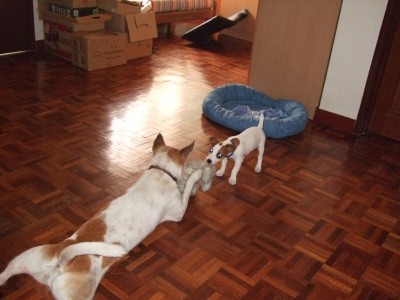 DSCF0016.JPG