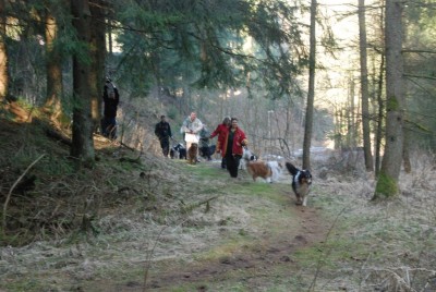DSC_5837.JPG (216.05 KiB) 31051 mal betrachtet Vereinsmitglieder und Journalisten auf dem Weg zum Hundewald