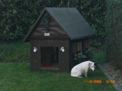 Stickisee (39)killi draussen.jpg