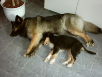 IMAGE0088.JPG