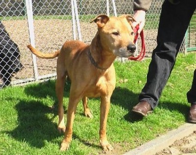 leon.jpg (138.34 KiB) 6204-mal betrachtet leon.jpg