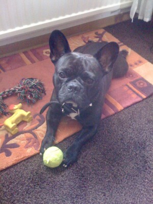 043.JPG (511 KiB) 6654-mal betrachtet 043.JPG