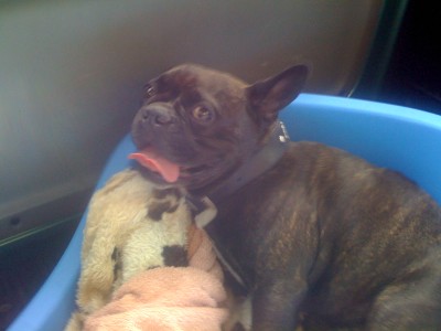 IMG_0204.JPG (347.6 KiB) 6658-mal betrachtet IMG_0204.JPG