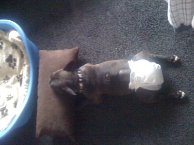 IMG_0216.JPG (447.65 KiB) 6656-mal betrachtet IMG_0216.JPG