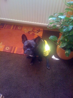 IMG_0238.JPG (456.89 KiB) 6893-mal betrachtet IMG_0238.JPG