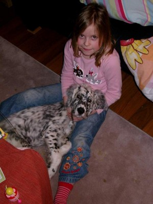 Hunde 032.jpg