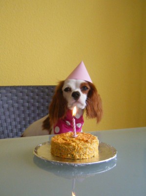 mah6.jpg (956.95 KiB) 4037-mal betrachtet mah6.jpg