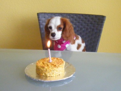 mah7.jpg (750.77 KiB) 4036-mal betrachtet mah7.jpg