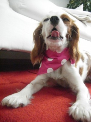 mah8.JPG (52.11 KiB) 4034-mal betrachtet mah8.JPG